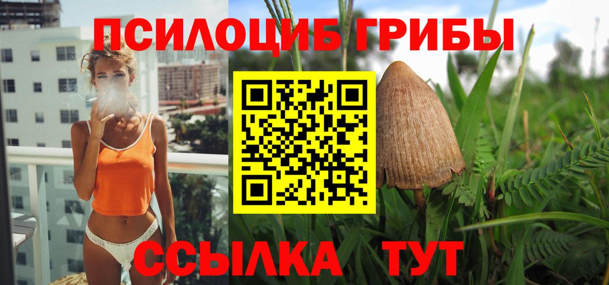 Галлюциногенные грибы Cubensis Моздок