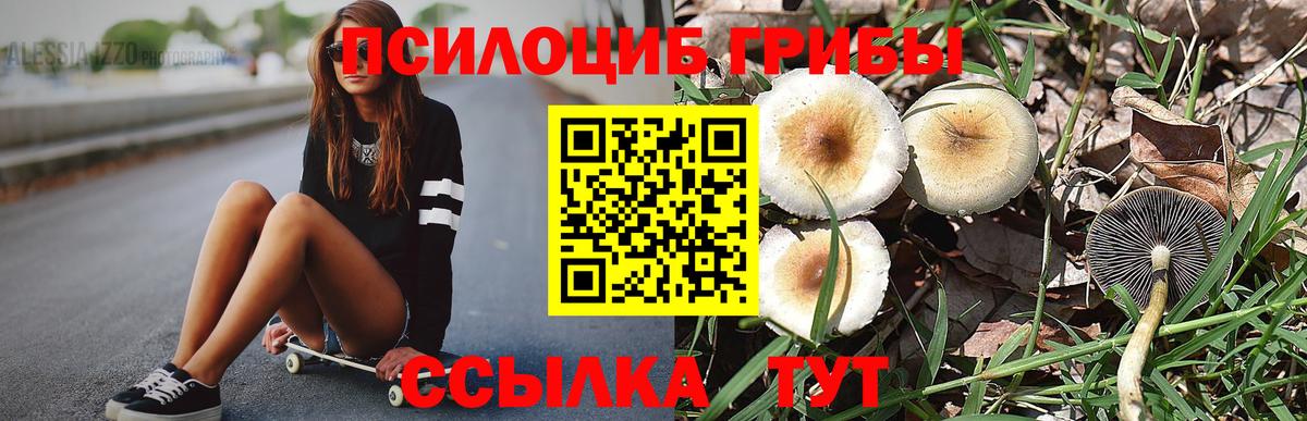 Псилоцибиновые грибы мухоморы  Вход с VPN  Галлюциногенные грибы Cubensis  Моздок 